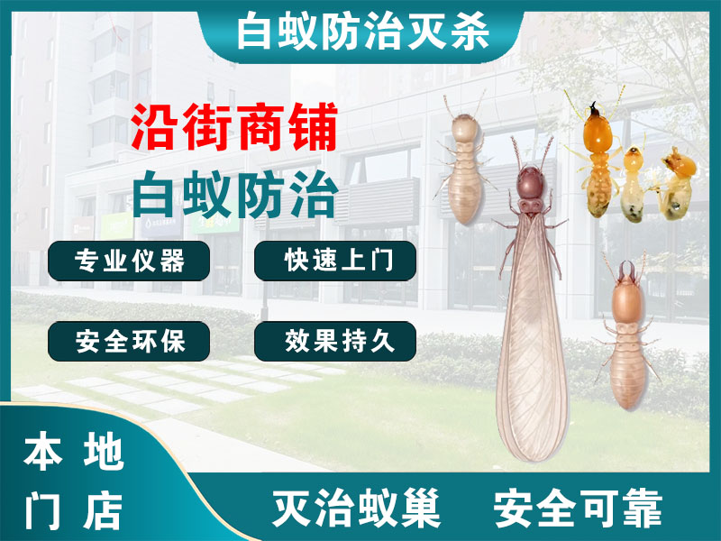 响水沿街商铺白蚁防治