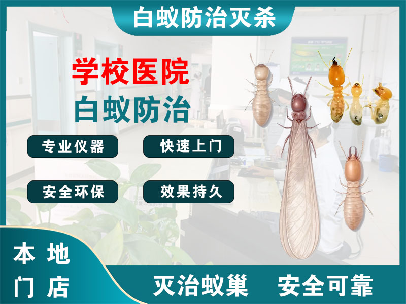响水学校医院白蚁防治