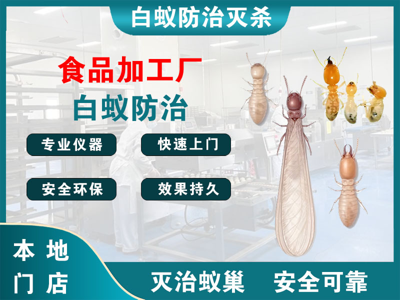 响水食品加工厂白蚁防治