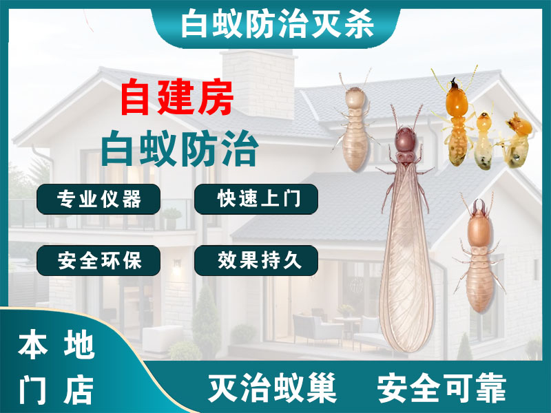 响水自建房白蚁防治