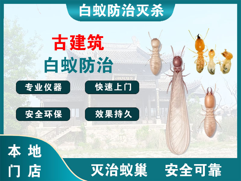 响水古建筑白蚁防治