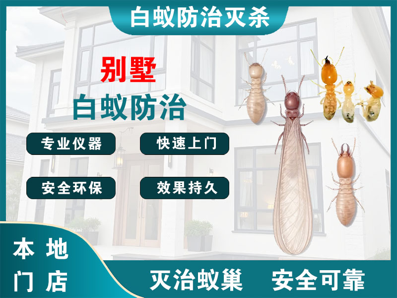 响水别墅白蚁防治