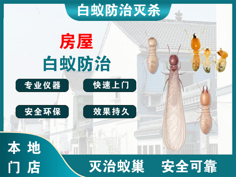 响水房屋白蚁防治